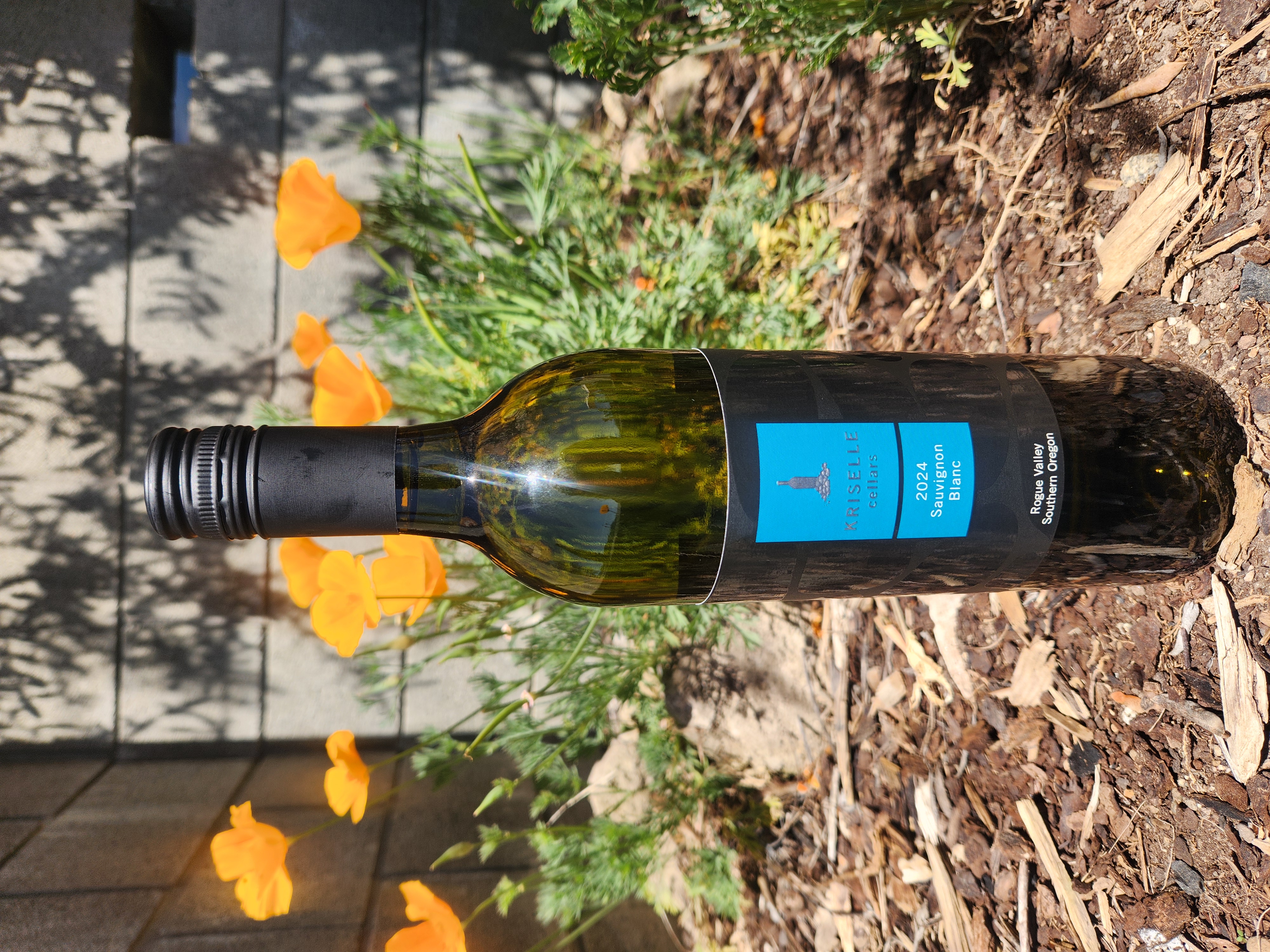 Product Image for 2024 Sauvignon Blanc